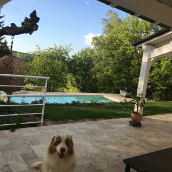 Foto dell'alloggio