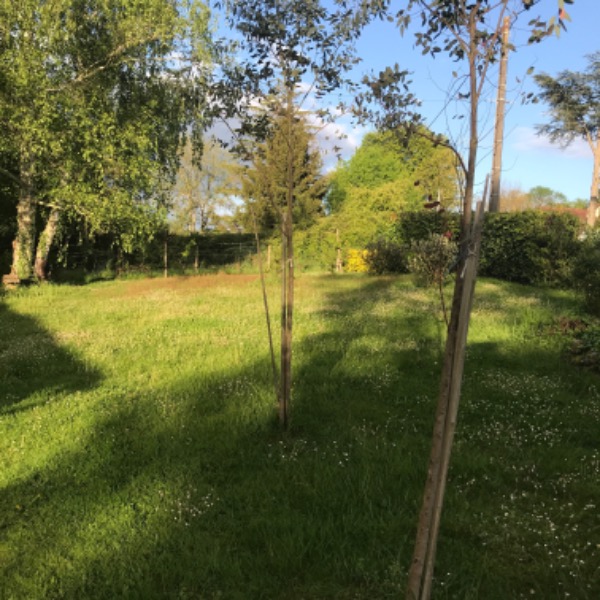 Foto dell'alloggio