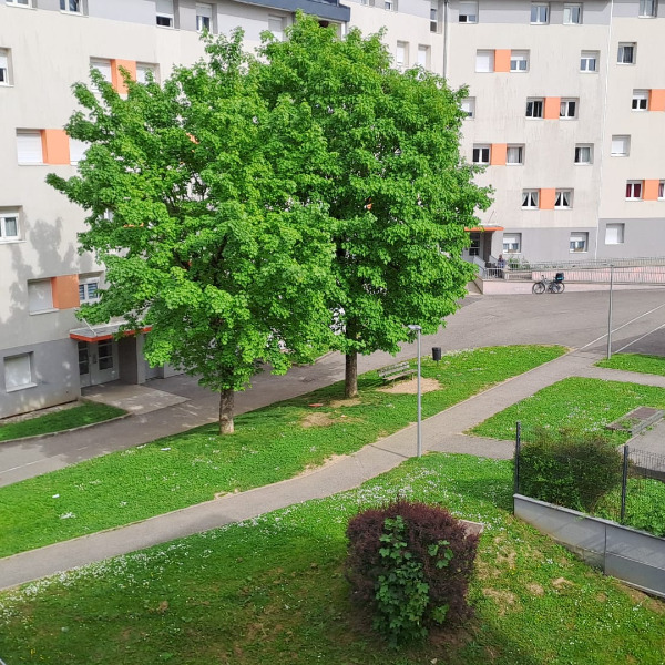 Foto dell'alloggio