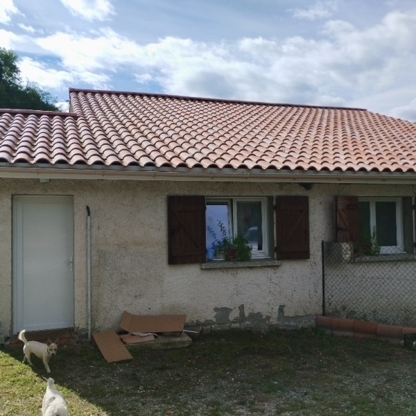 Foto dell'alloggio