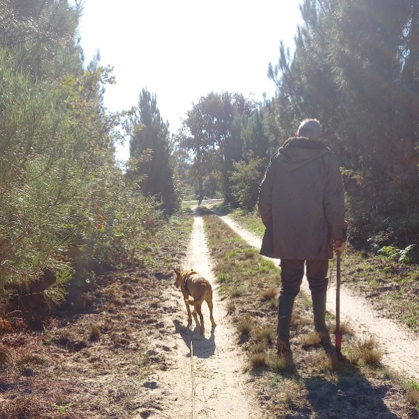 Foto dell'alloggio