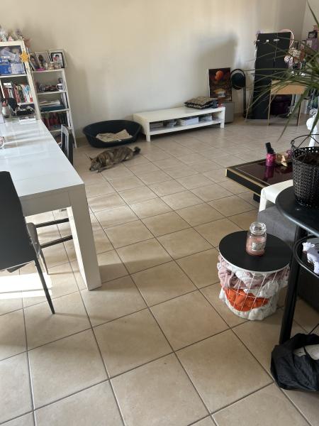 Foto dell'alloggio