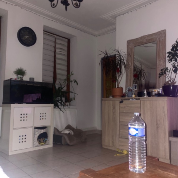 Foto dell'alloggio