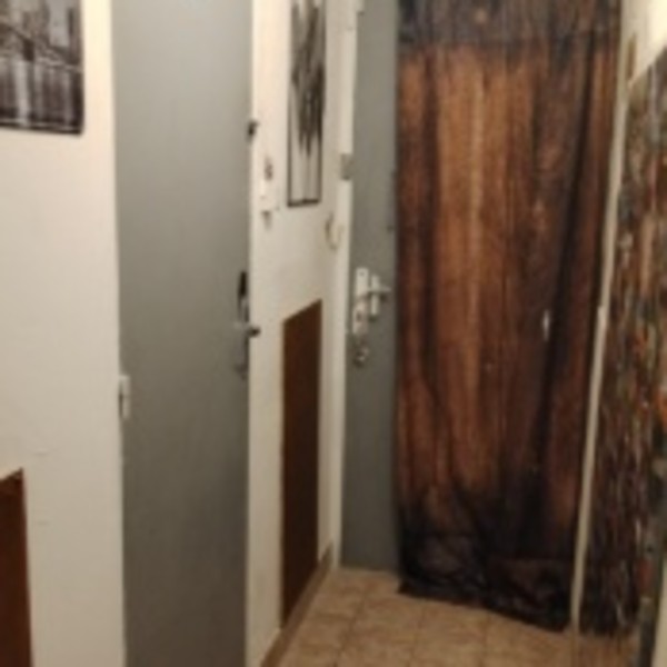 Foto dell'alloggio