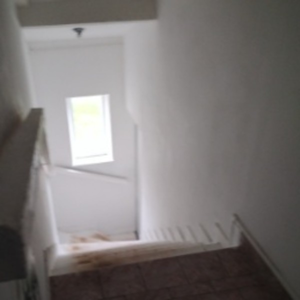 Foto dell'alloggio