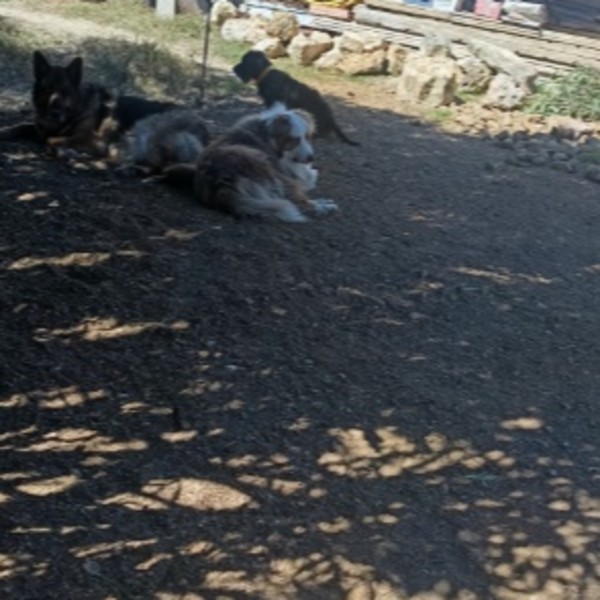 Foto dell'alloggio