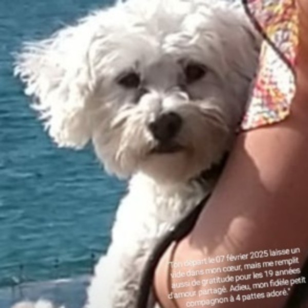 Foto dell'alloggio