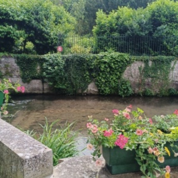 Foto dell'alloggio