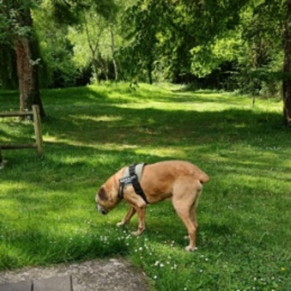 Foto dell'alloggio