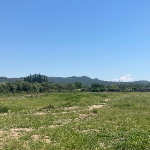 Foto dell'alloggio