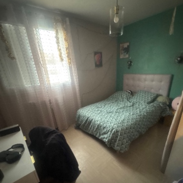 Foto dell'alloggio
