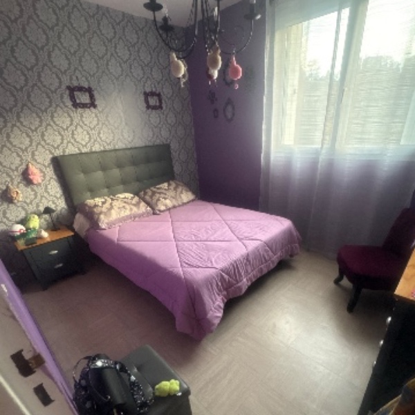 Foto dell'alloggio