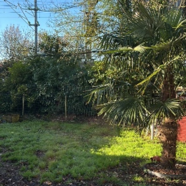 Foto dell'alloggio