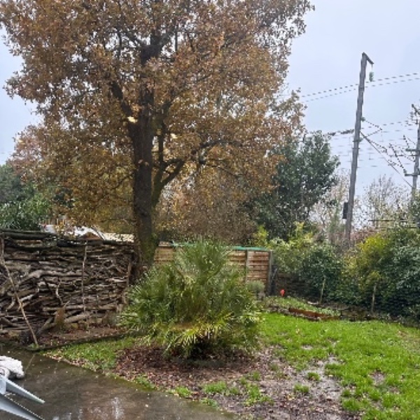 Foto dell'alloggio