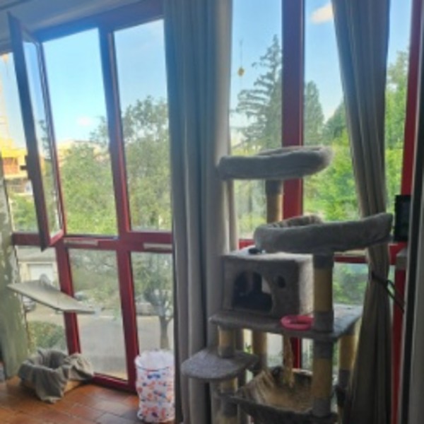 Foto dell'alloggio