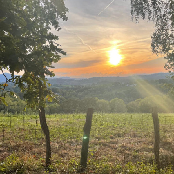Foto dell'alloggio