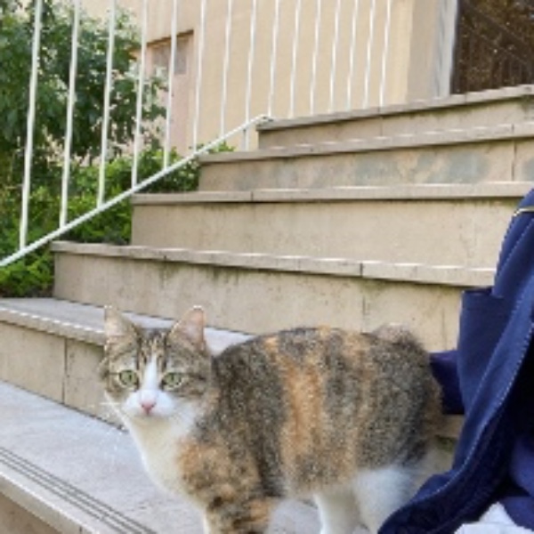Foto dell'alloggio