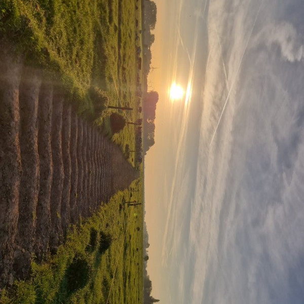 Foto dell'alloggio