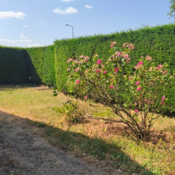 Foto dell'alloggio