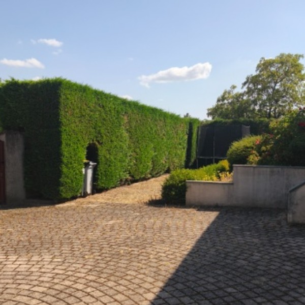 Foto dell'alloggio