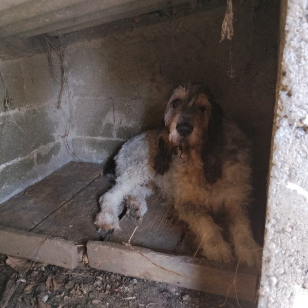Foto dell'alloggio