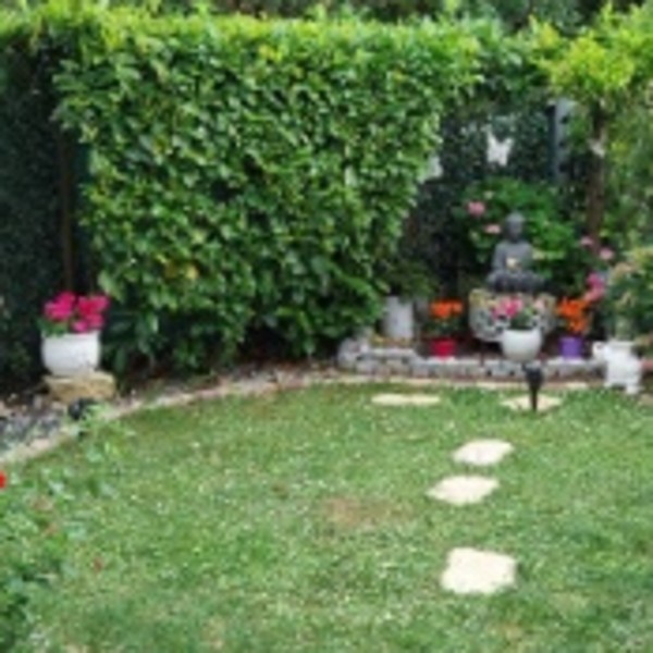 Foto dell'alloggio
