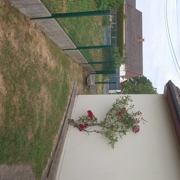 Foto dell'alloggio