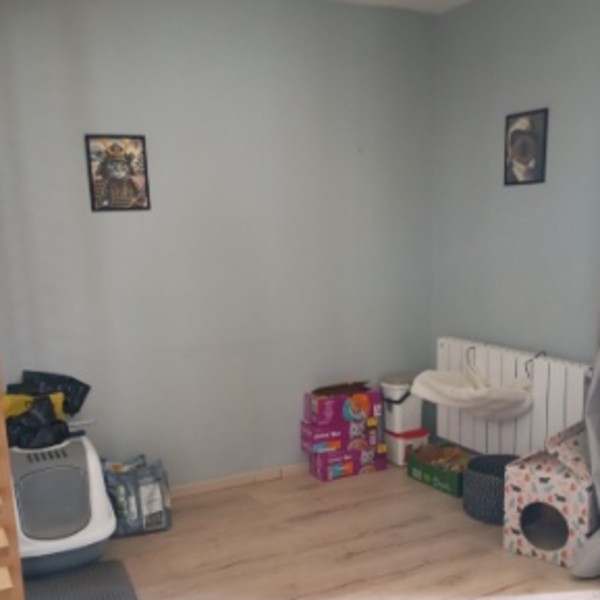 Foto dell'alloggio