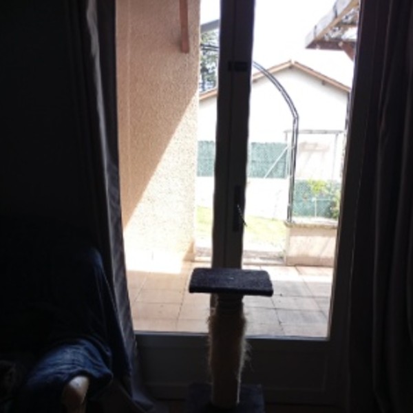 Foto dell'alloggio