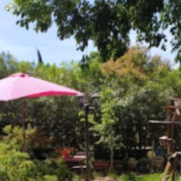 Foto dell'alloggio