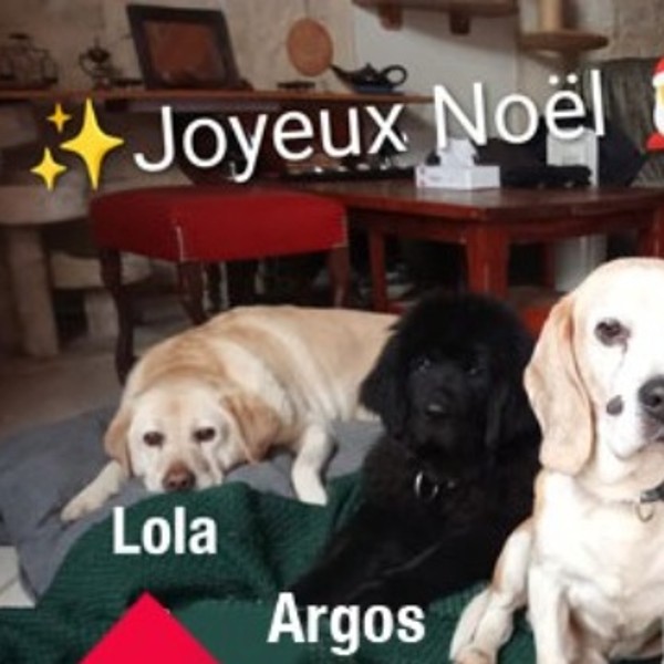 Foto dell'alloggio
