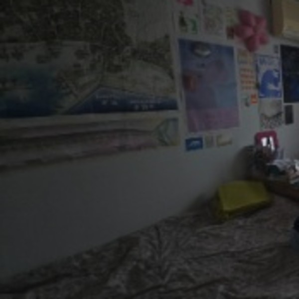 Foto dell'alloggio