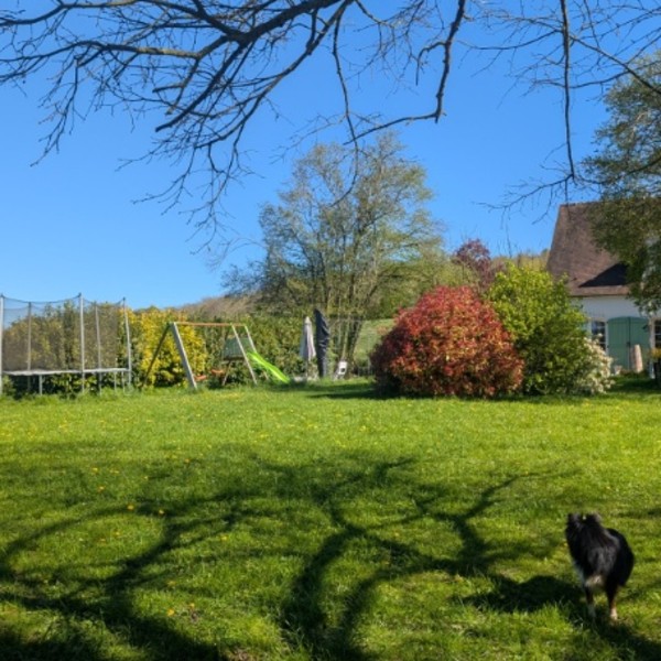 Foto dell'alloggio
