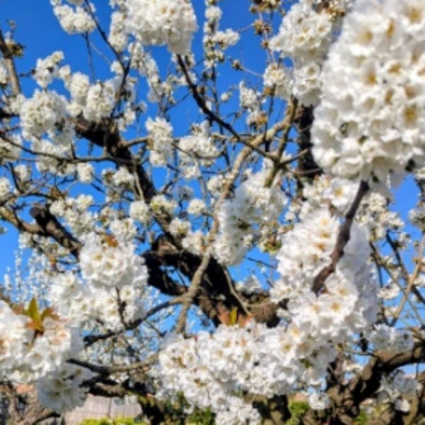 Foto dell'alloggio