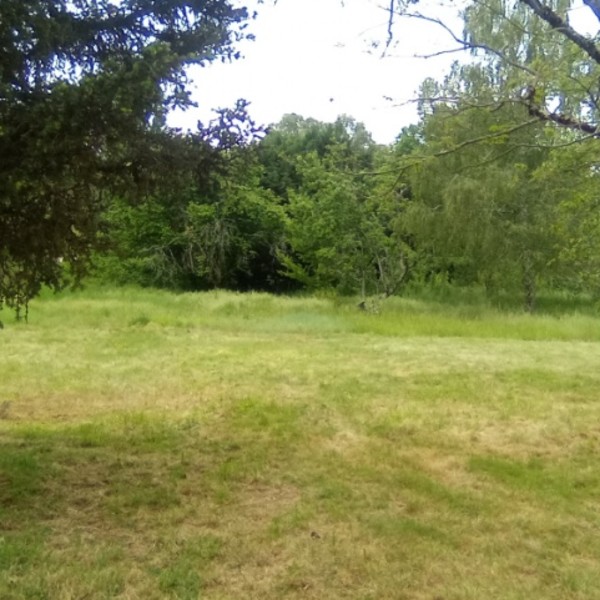 Foto dell'alloggio