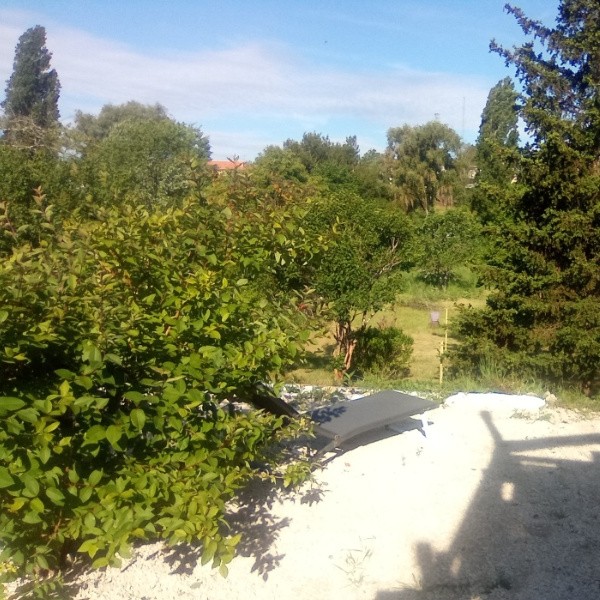 Foto dell'alloggio