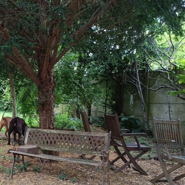 Foto dell'alloggio