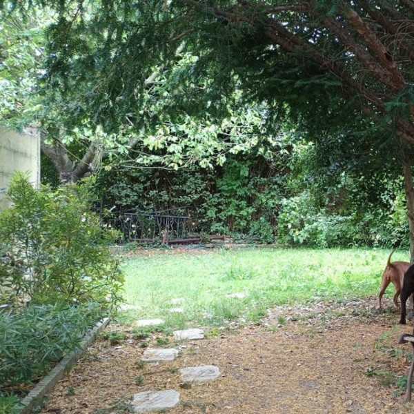 Foto dell'alloggio