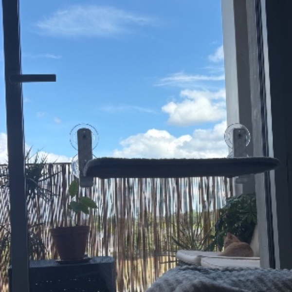 Foto dell'alloggio
