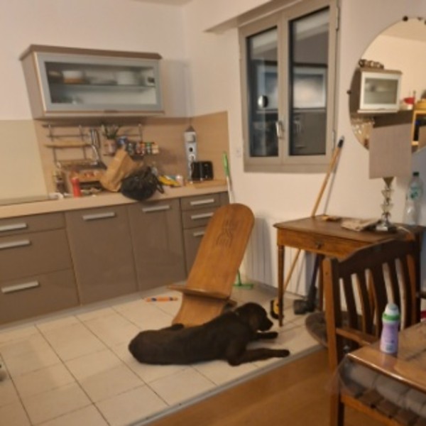 Foto dell'alloggio