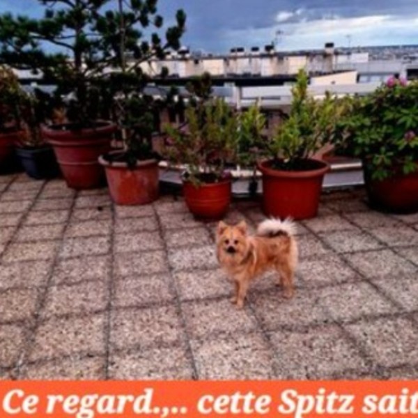 Foto dell'alloggio