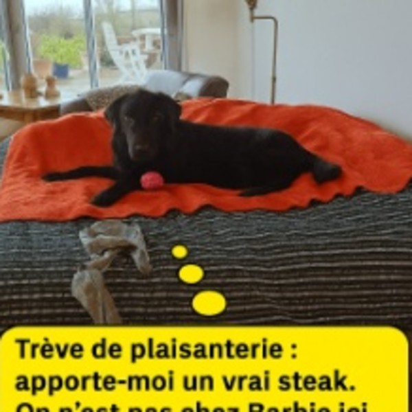 Foto dell'alloggio