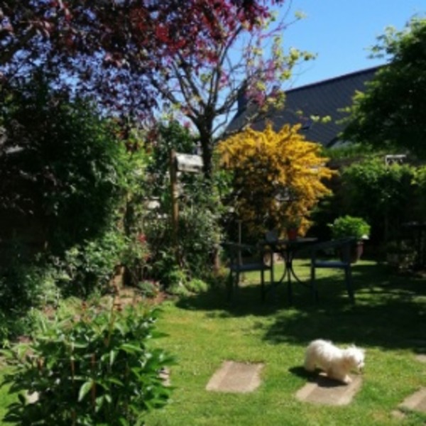 Foto dell'alloggio