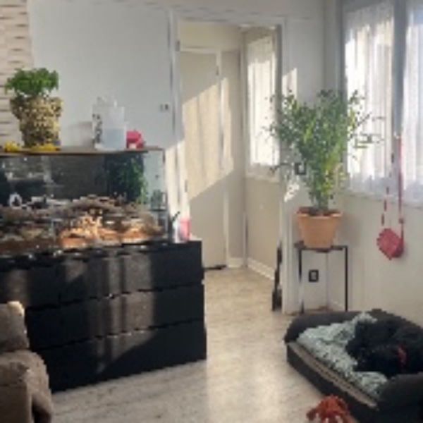 Foto dell'alloggio
