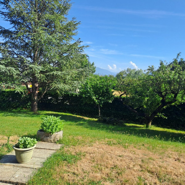 Foto dell'alloggio