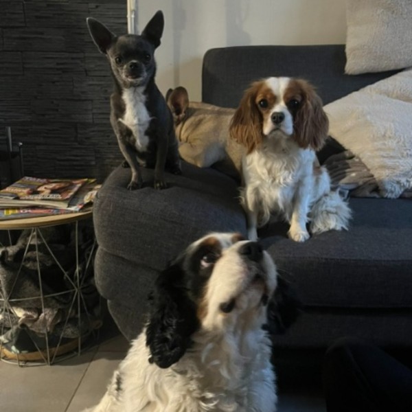 Foto dell'alloggio