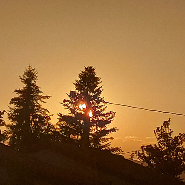 Foto dell'alloggio
