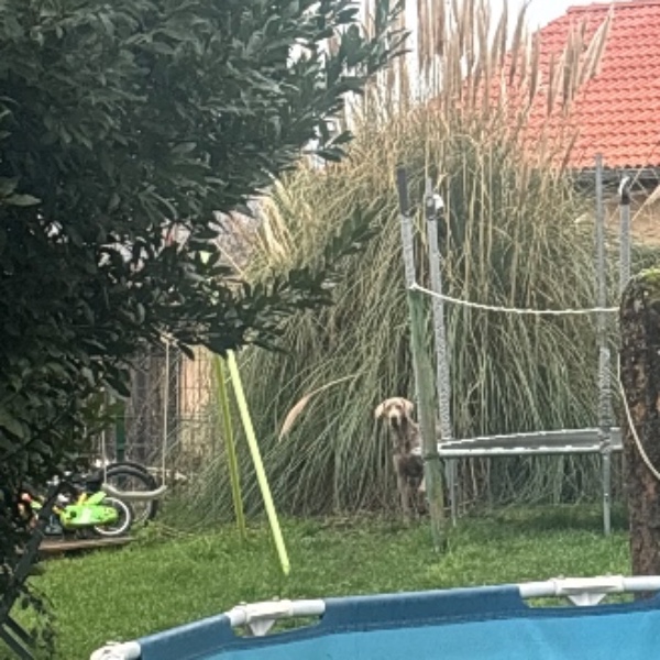 Foto dell'alloggio
