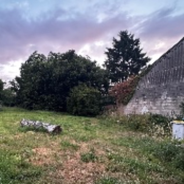 Foto dell'alloggio