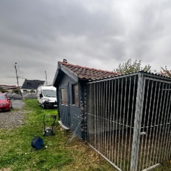 Foto dell'alloggio